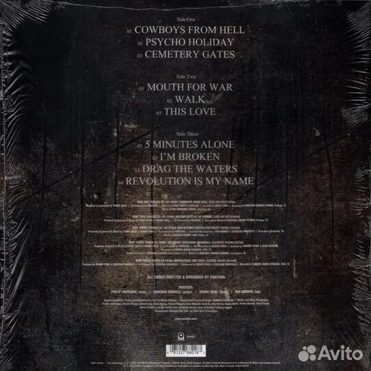 Pantera A Decade Of Domination 2LP canada