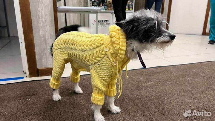 Вяжу спицами на заказ