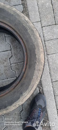 Debica Passio 195/65 R15