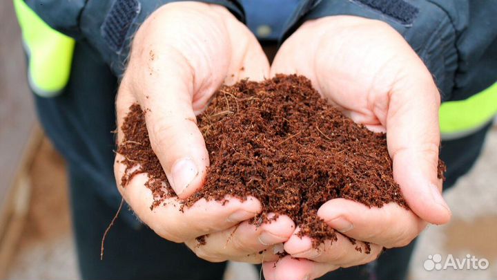 Торф верховой