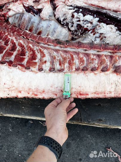 Сало домашнее