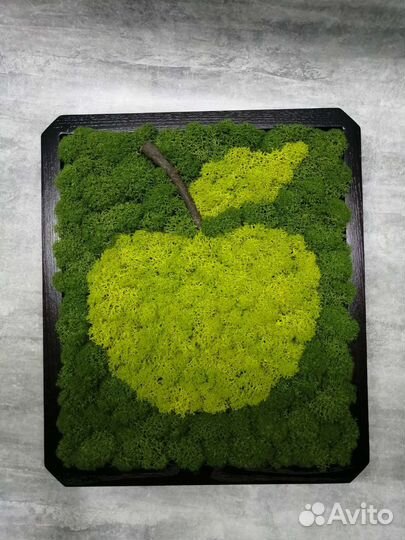 Картина/панно/мох
