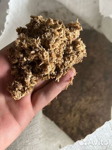 Корм для свиней коров / пивная дробина