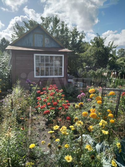 Дача 10 м² на участке 5 сот.