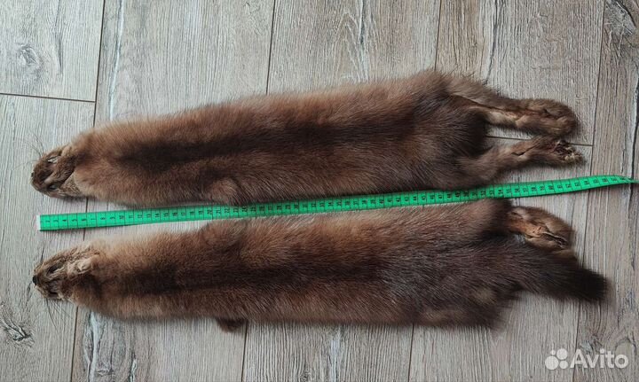 Шкурка Приморского соболя (бронь)