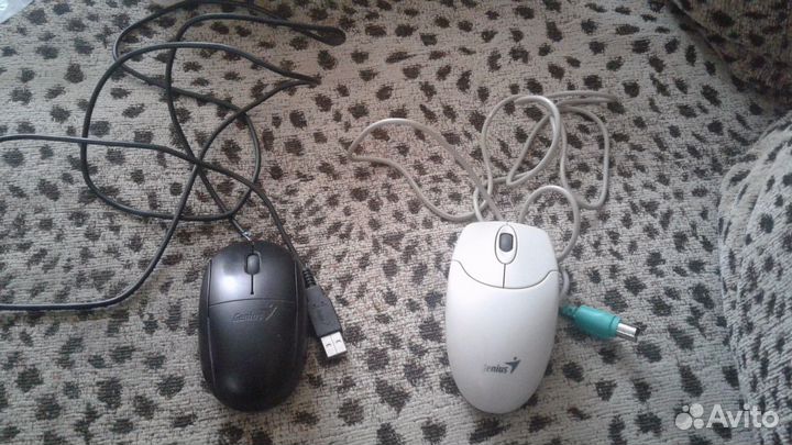 Мышь компьютерная Genius