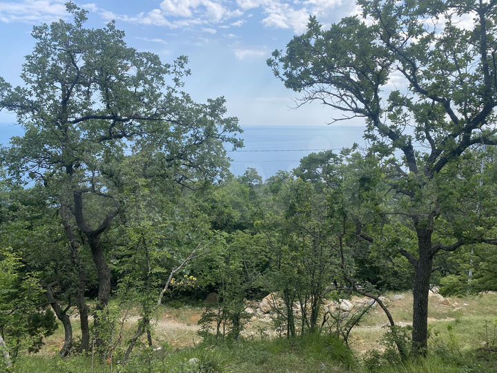 Участок 15 сот. (ИЖС)