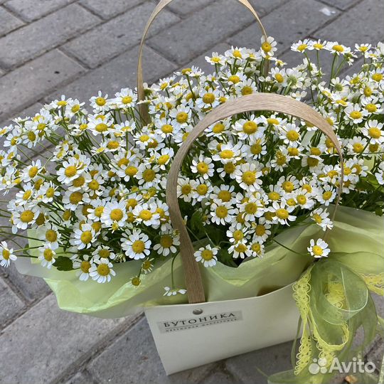 Цветы. Букет из ромашек