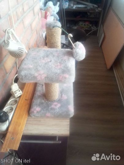 Когтеточка,переноска все почти новое