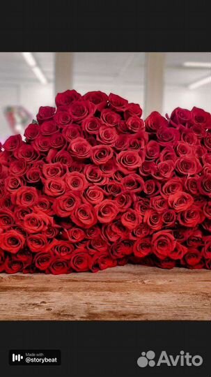 Цветы, розы, акция 35 шт