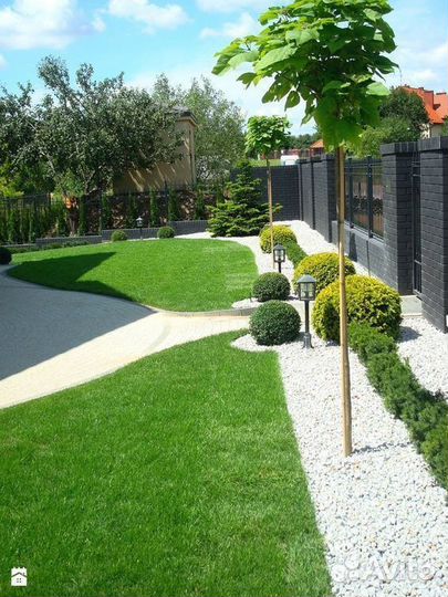 Рулонный газон элитный