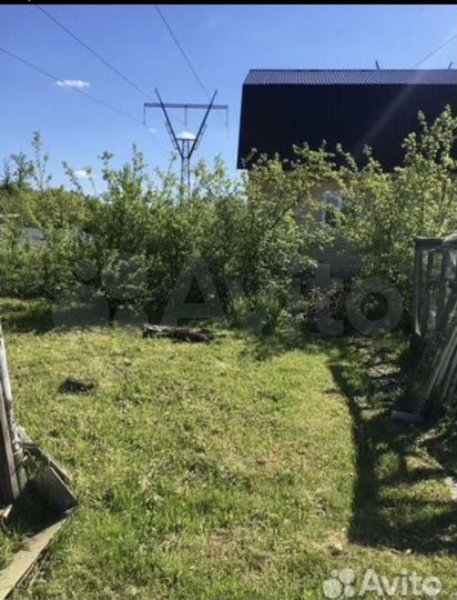 Участок 6,2 сот. (СНТ, ДНП)