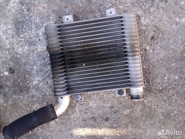 Радиатор интеркулера hyundai starex h1
