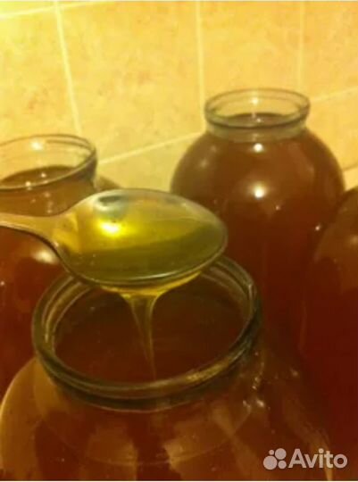Продаю Мёд
