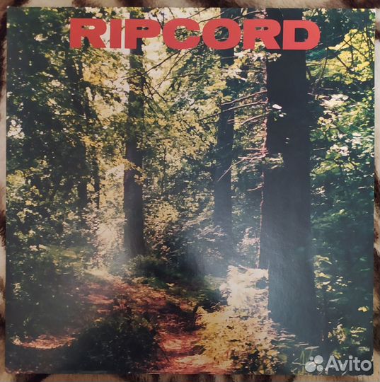Ripcord - Discography Part II Harvest Hardcore LP