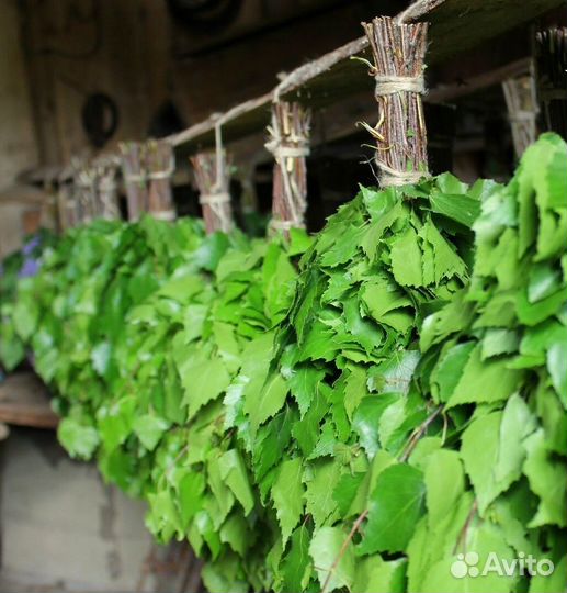 Веники банные