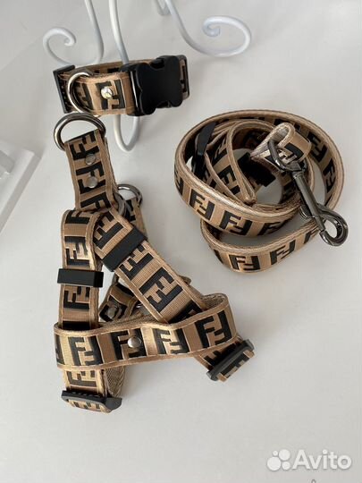 Шлейка и поводок Gucci