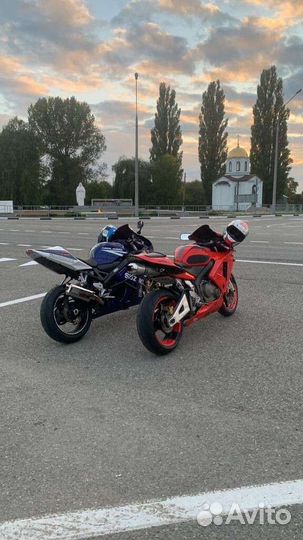 Honda CBR 600 rr