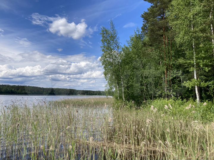 Участок 1,68 га (СНТ, ДНП)