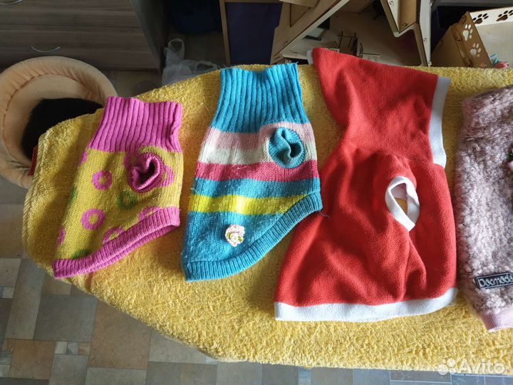 Одежда для маленькой собачки, шлейки, поводок