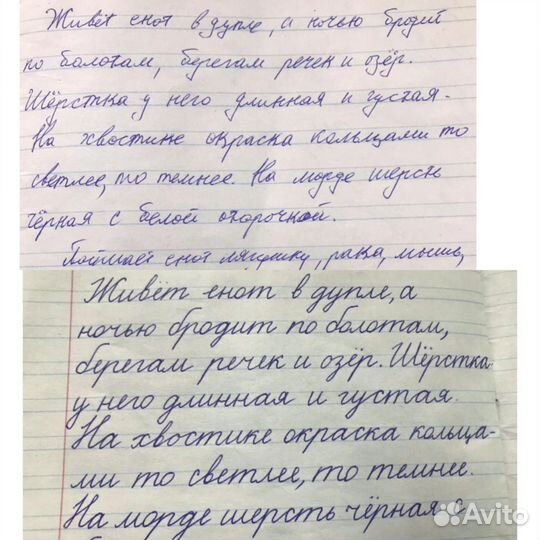 Каллиграфия, подготовка к школе,скорочтение