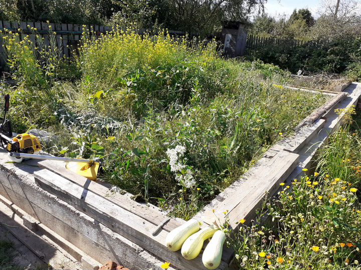 Участок 7 сот. (СНТ, ДНП)