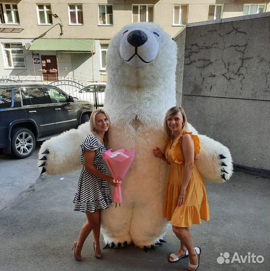 Белый мишка поздравление