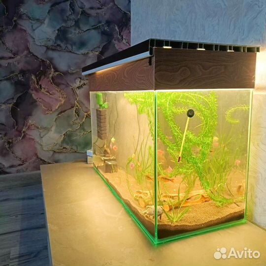 Аквариум на 100 литров