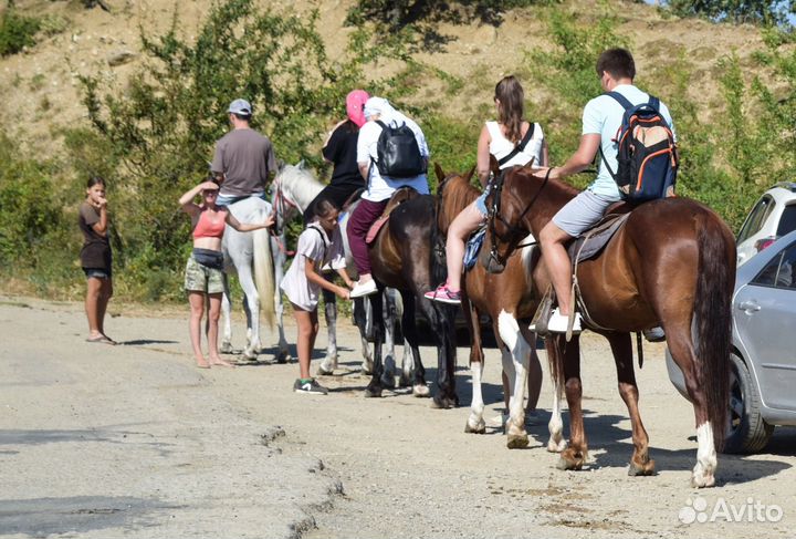 Конные прогулки над Гурзуфом