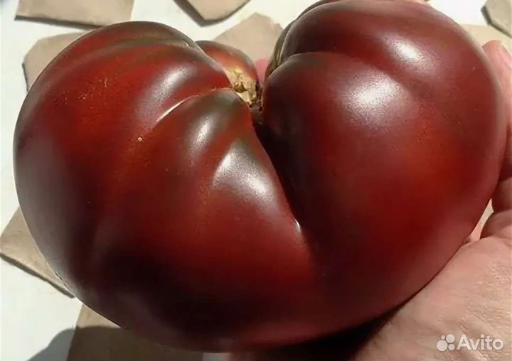 Томат Бычье сердце ассорти