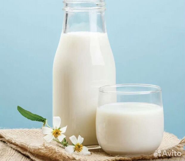 Молоко козье, творог, сыр, масло, сметана, йогурт