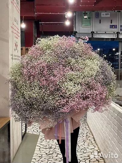 Гипсофила Букет Цветы