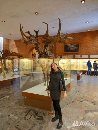 Репетитор по истории, обществознанию