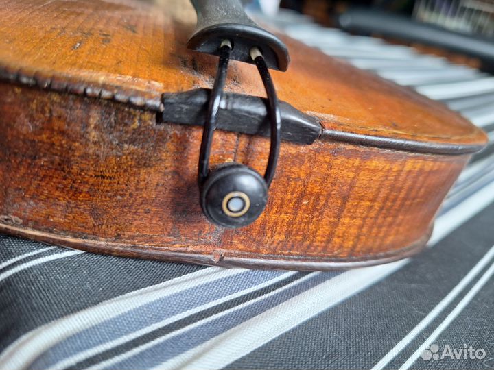 Скрипка целая