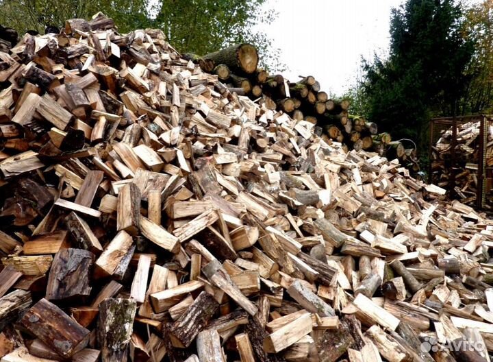 Дрова Береза