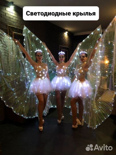 Шоу-балет Beauty