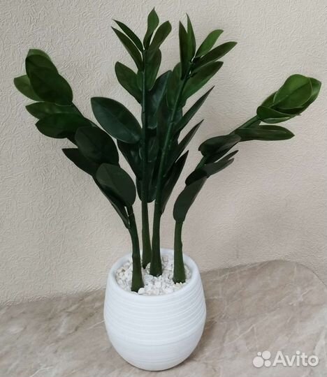 Замиокулькас (долларовое дерево) искусственный