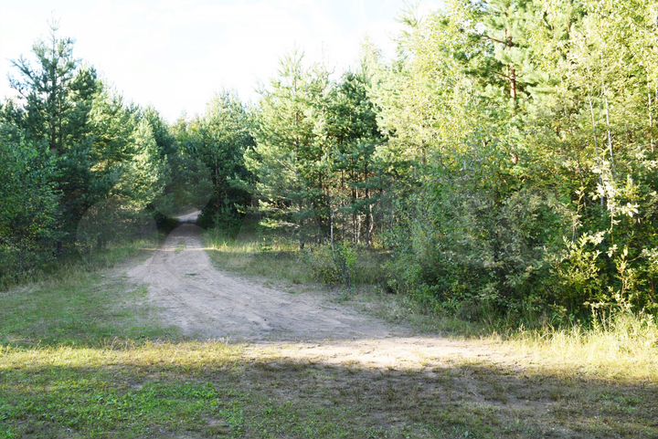 Участок 10,6 сот. (СНТ, ДНП)