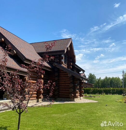 Канадская рубка. Срубы из бревен большого диаметра