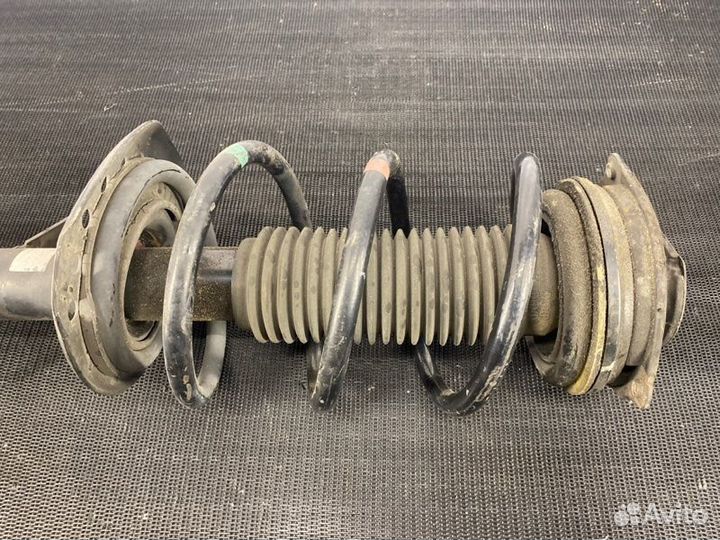 Амортизатор передний правый Nissan X-Trail T31