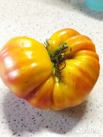 Семена сортовых томатов