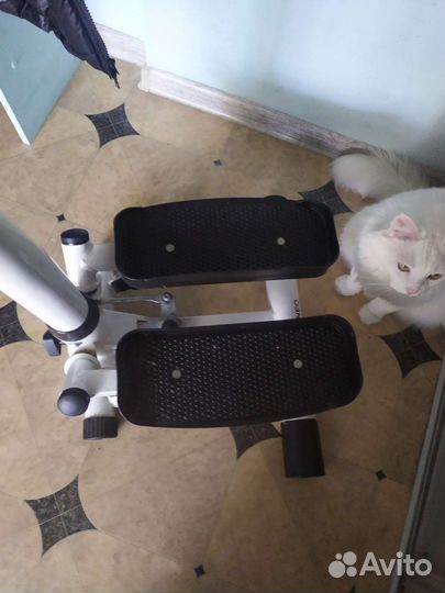 Степпер Torneo Tempo