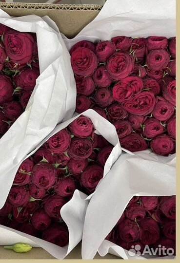 Розы оптоми в розницу