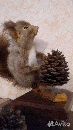 Сувениры эпохи СССР