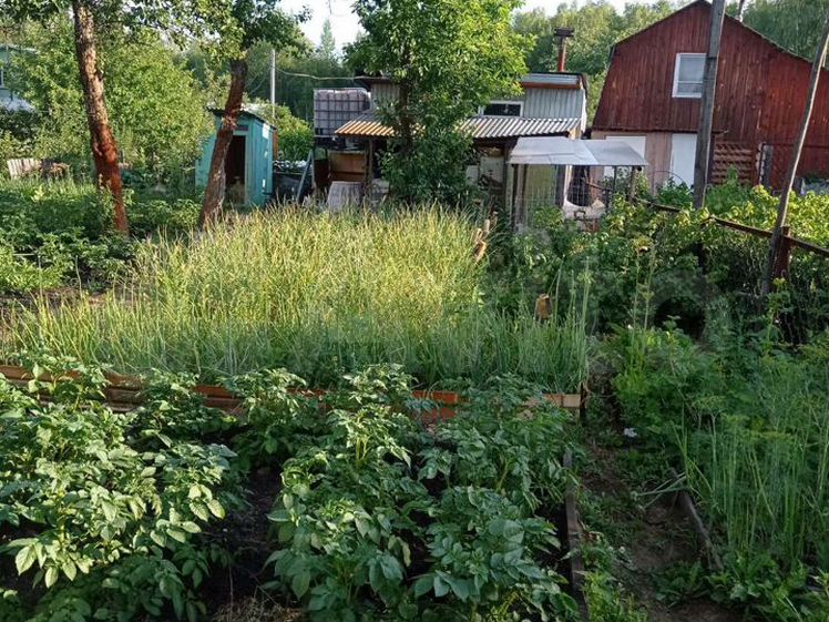 Строительство каркасных домов в Нижегородской области. Компания Авангард Строй