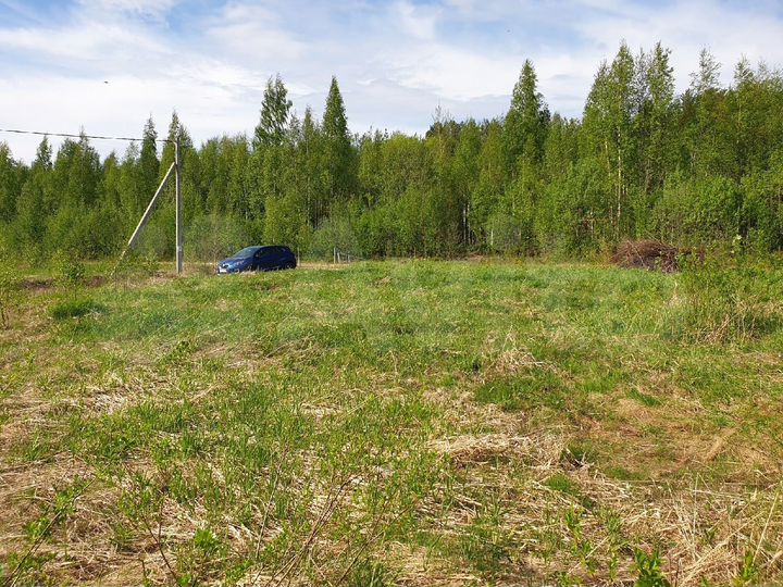 Участок 11 сот. (СНТ, ДНП)