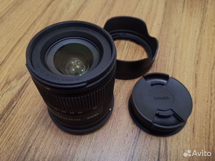 Sigma 18-50mm f/2.8 L-mount