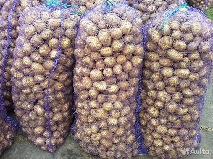 Продам картофель с доставкой