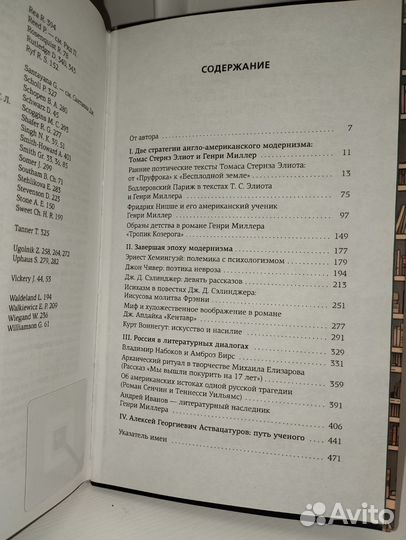 Автор и герой в лабиринте идей