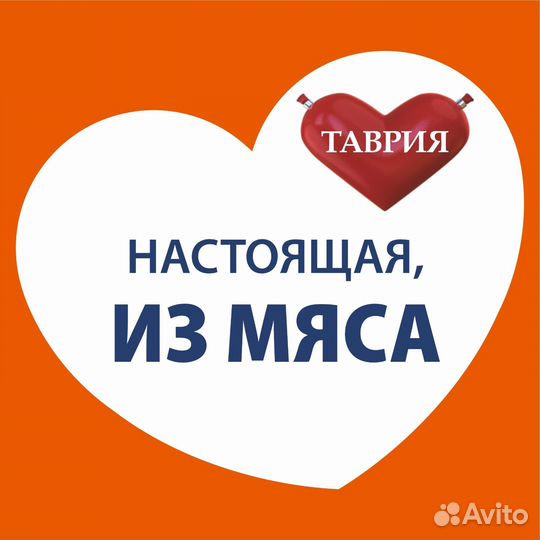 Составитель теста (тестовод)